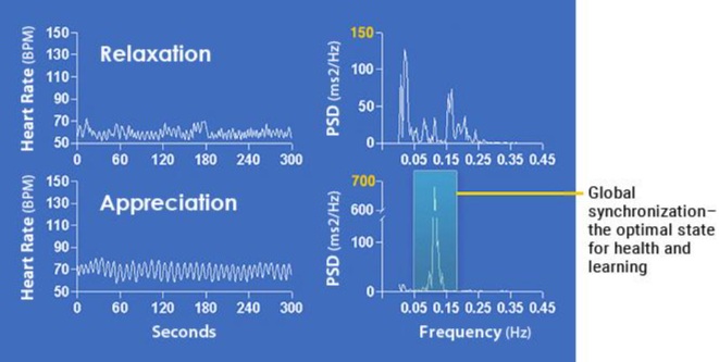 Meditação e respiração consciente